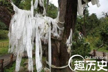 1463368619966877.jpeg 4.jpeg