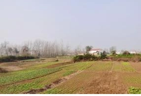 1685433599958041.png image.png