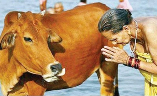 1555298186726141.png image.png