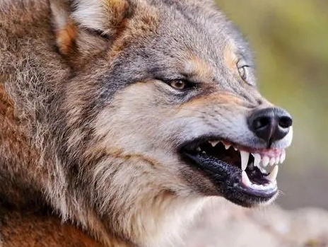 1665986415575152.png image.png