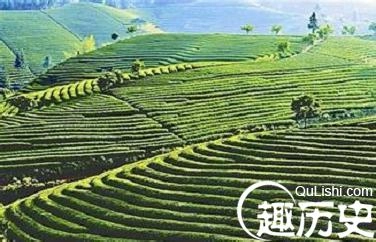 1461507190867600.jpeg 4.jpeg