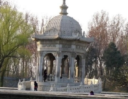 1684228751661618.png image.png