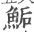 鮜(宋·印刷字体·广韵)