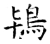 鸨(唐·石经·开成石经)
