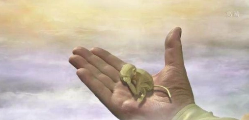 1554440762313025.png image.png