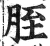胵(明·印刷字体·洪武正韵)