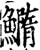 䲊(宋·印刷字体·增韵)