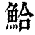 鮯(清·印刷字体·康熙字典)