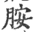 胺(宋·印刷字体·广韵)