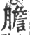 膽(宋·印刷字体·广韵)