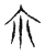 尓(宋·传抄·集古文韵上声韵第三)