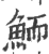 鲕(宋·印刷字体·广韵)