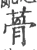 蓇(宋·印刷字体·广韵)