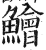鱠(明·印刷字体·洪武正韵)