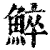 䱣(清·印刷字体·康熙字典)