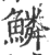 鱗(宋·印刷字体·广韵)