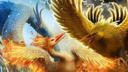 1663556851999229.png image.png