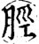 胫(宋·印刷字体·增韵)
