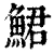 鲪(清·印刷字体·康熙字典)