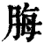 脢(清·印刷字体·康熙字典)