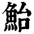 鲐(清·印刷字体·康熙字典)