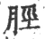 胫(宋·印刷字体·广韵)