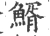 䱬(宋·印刷字体·广韵)