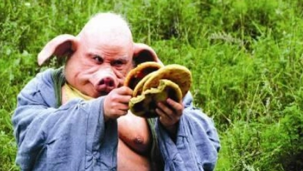 1663382516999767.png image.png