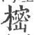 樒(宋·印刷字体·广韵)