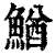 鰌(清·印刷字体·康熙字典)
