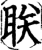 眹(宋·印刷字体·增韵)