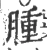 腫(宋·印刷字体·广韵)