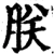 朕(宋·印刷字体·增韵)