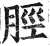 脛(明·印刷字体·洪武正韵)