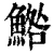 鯦(清·印刷字体·康熙字典)
