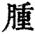 腫(清·印刷字体·康熙字典)