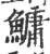 鳙(宋·印刷字体·广韵)