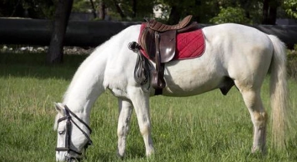 1663555222321479.png image.png