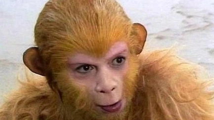 1663312289763547.png image.png