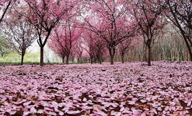 1566367549171285.png image.png