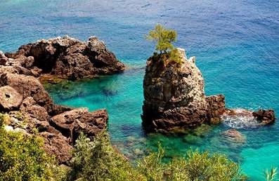 1543480734832100.png image.png