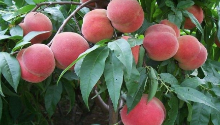 1663309581539868.png image.png