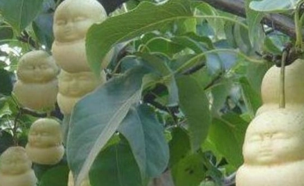 1663227394395682.png image.png