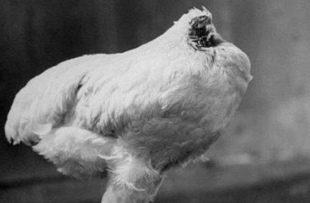 1566196738615387.png image.png