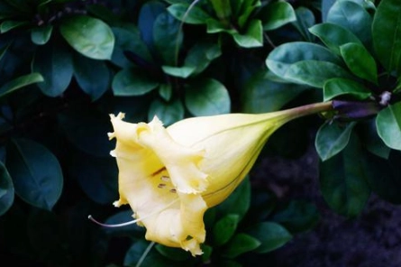 1566194104660765.png image.png