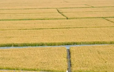 1678341193148596.png image.png