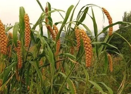 1678869912156332.png image.png