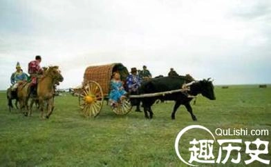 1460437003929237.jpeg 3.jpeg