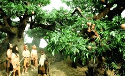 1663138245846155.png image.png