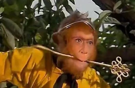 1663145408379734.png image.png